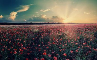 四輥卷板機(jī)有何特點(diǎn)