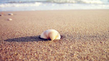 四輥卷板機結(jié)構(gòu)性能與優(yōu)點